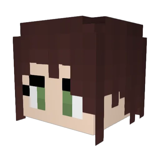 Admrl_Assertive Minecraft avatar head, 3D render