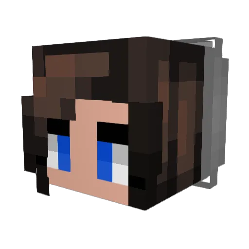 Adnarimet Minecraft avatar head, 3D render