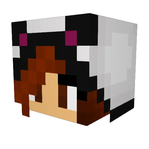 Adogslife Minecraft avatar head, 3D render