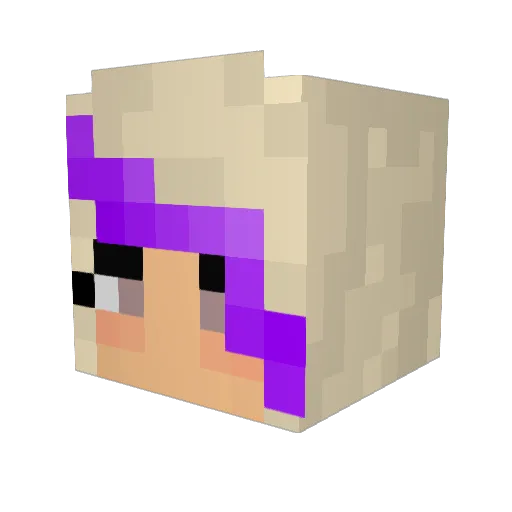 Adoifin Minecraft avatar head, 3D render