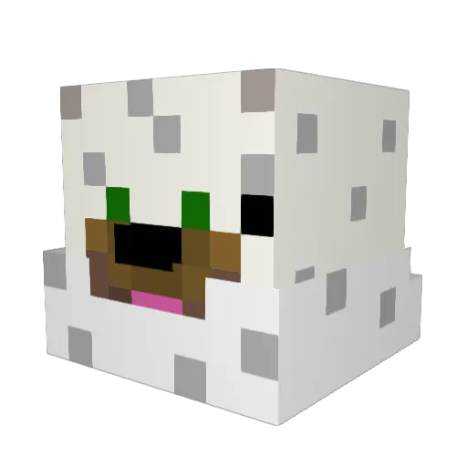 AdominableBacca Minecraft avatar head, 3D render