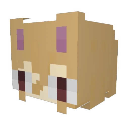 Adomizan Minecraft avatar head, 3D render