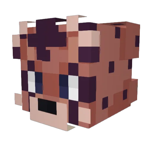 Adonimes Minecraft avatar head, 3D render