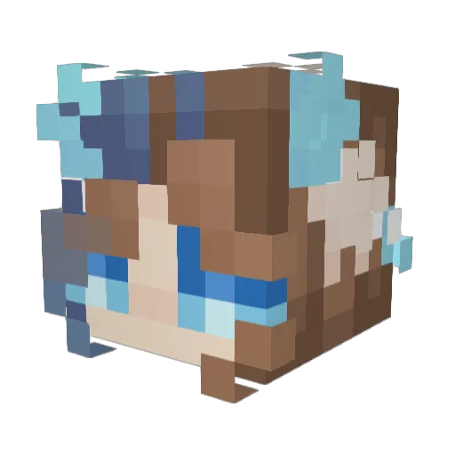 AdonisFei Minecraft avatar head, 3D render