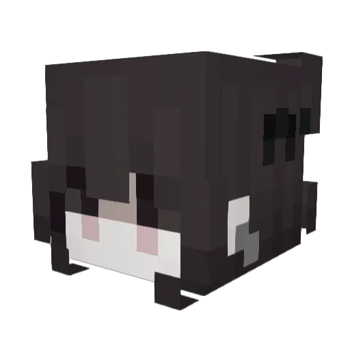 AdorableDull416 Minecraft avatar head, 3D render