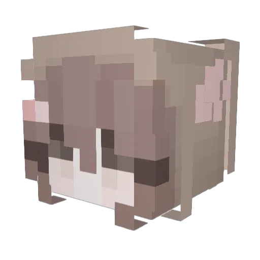 AdorableHoneybun Minecraft avatar head, 3D render