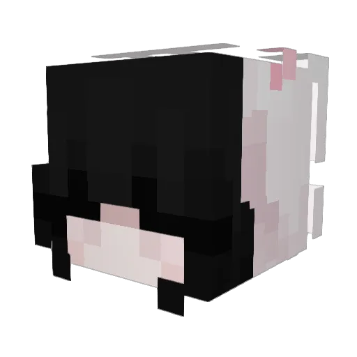 AdoringNine Minecraft avatar head, 3D render