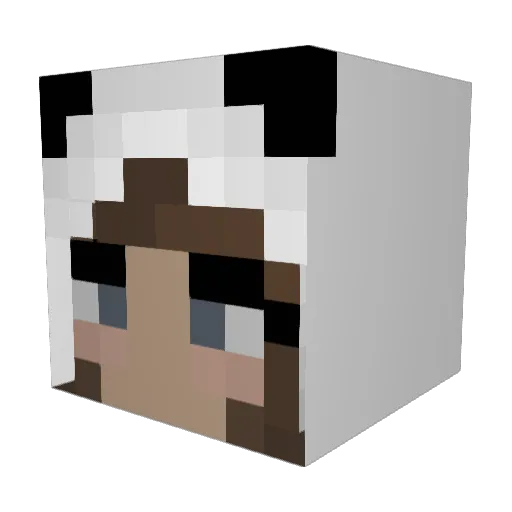 Adorkables Minecraft avatar head, 3D render