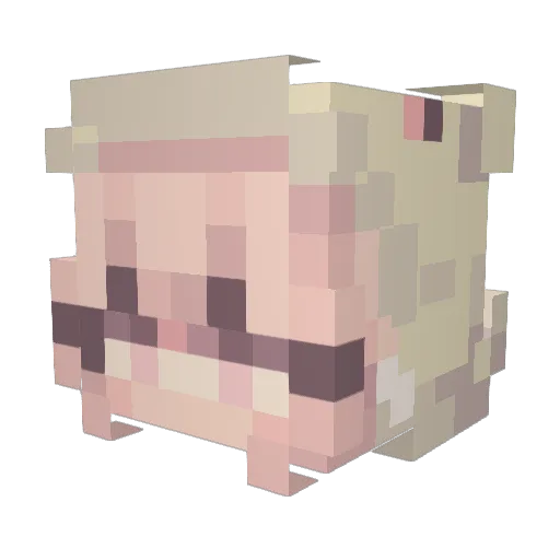 AdorkablyAutumn Minecraft avatar head, 3D render