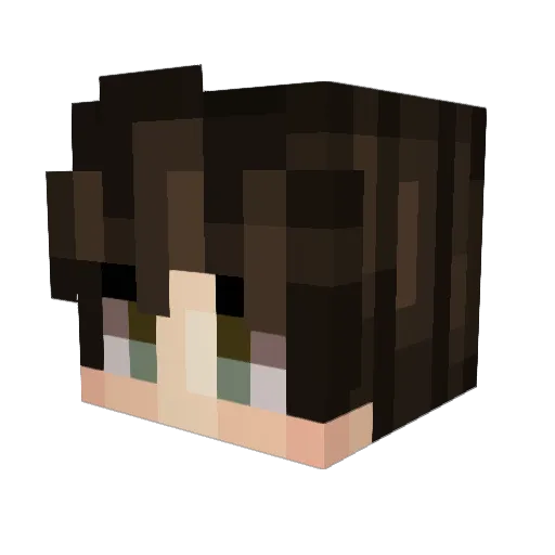Ados775 Minecraft avatar head, 3D render