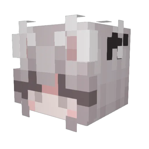 Adowia Minecraft avatar head, 3D render