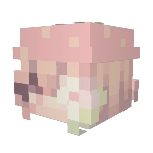 Adrastee_ Minecraft avatar head, 3D render