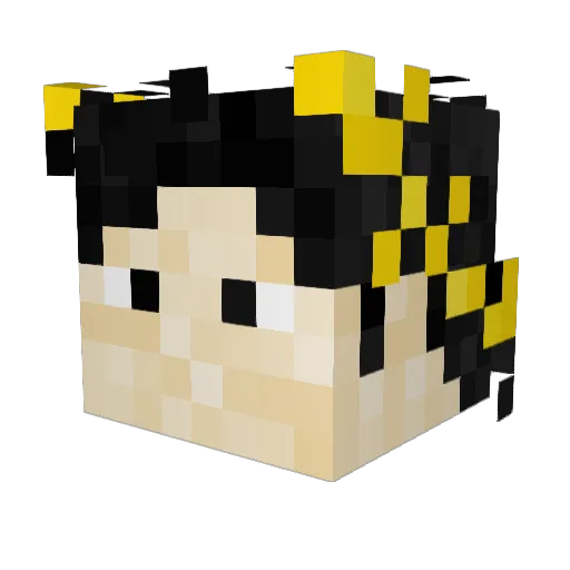 Adri11111 Minecraft avatar head, 3D render