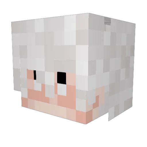 AdriJuas Minecraft avatar head, 3D render