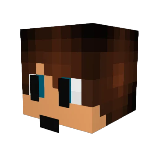 AdriStar10 Minecraft avatar head, 3D render