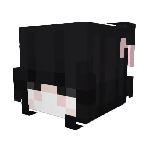 Adrian1019 Minecraft avatar head, 3D render
