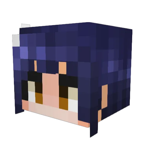 Adrian1269 Minecraft avatar head, 3D render