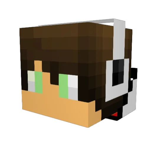 Adrian1306 Minecraft avatar head, 3D render