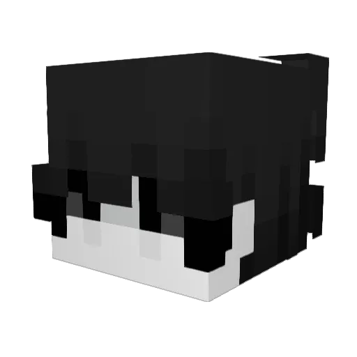 Adrian1846 Minecraft avatar head, 3D render