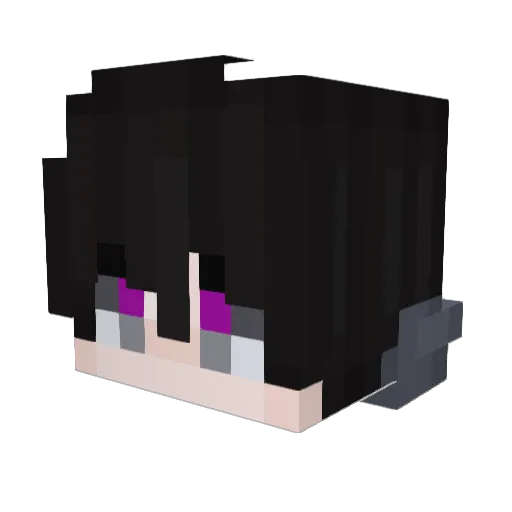 Adrian19FTW Minecraft avatar head, 3D render