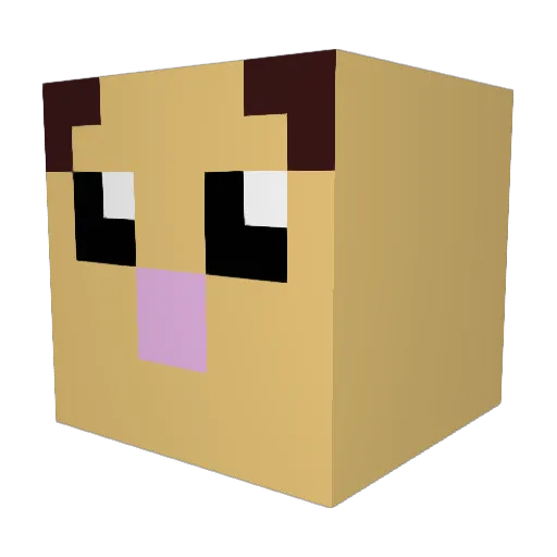 AdrianGali Minecraft avatar head, 3D render