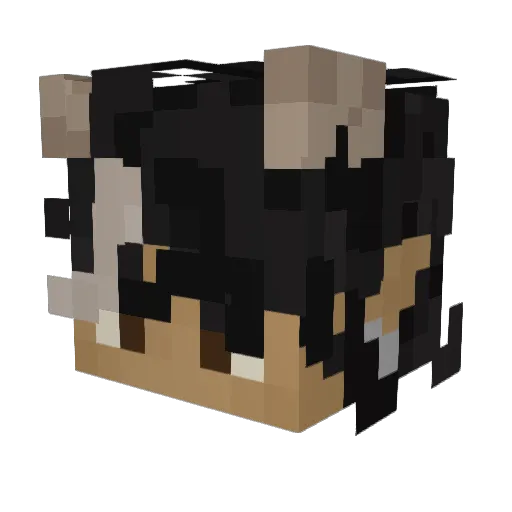 AdrianOutBack Minecraft avatar head, 3D render