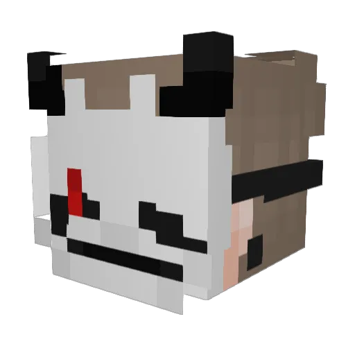 AdrianSL240 Minecraft avatar head, 3D render