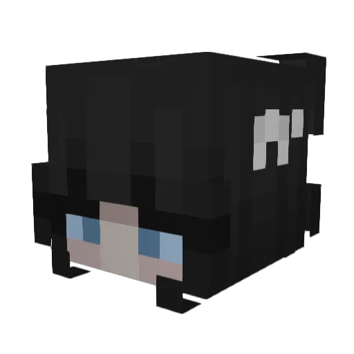 AdrianaSL16 Minecraft avatar head, 3D render