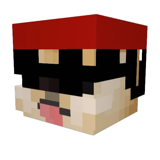 AdrianaTeAmo Minecraft avatar head, 3D render