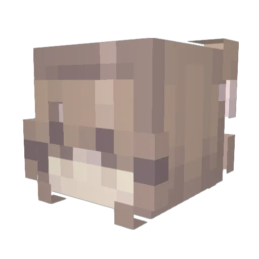 Adrianaxlost Minecraft avatar head, 3D render