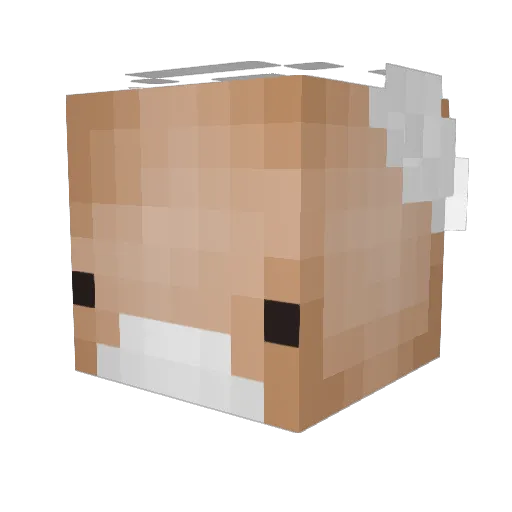 Adriandaboi111 Minecraft avatar head, 3D render