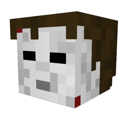 Adriannot Minecraft avatar head, 3D render