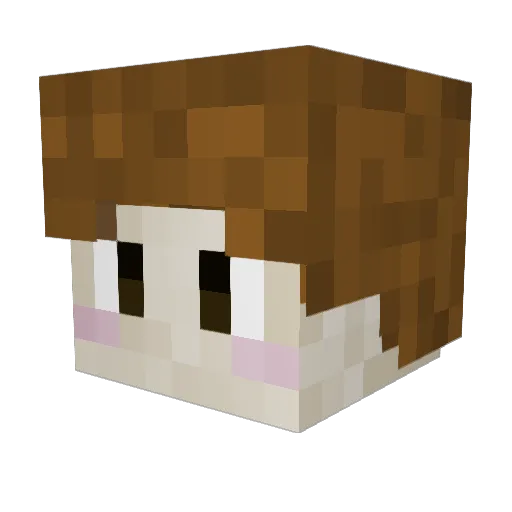 Adrianriv1 Minecraft avatar head, 3D render