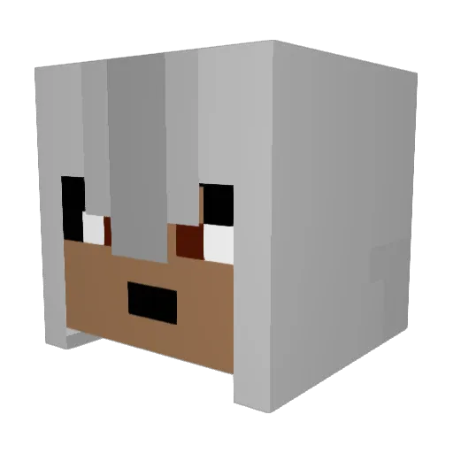 Adrianx737 Minecraft avatar head, 3D render