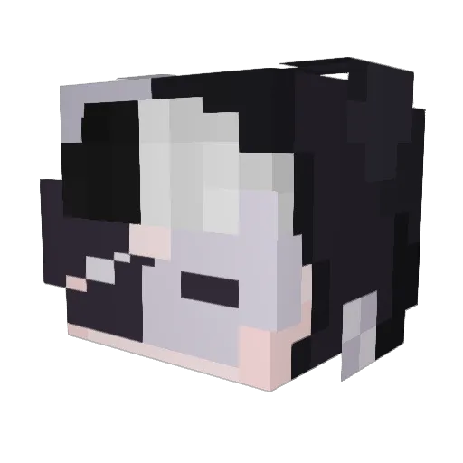 Adrien18d Minecraft avatar head, 3D render