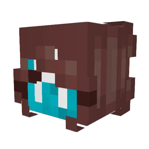 Adrienne_smth Minecraft avatar head, 3D render