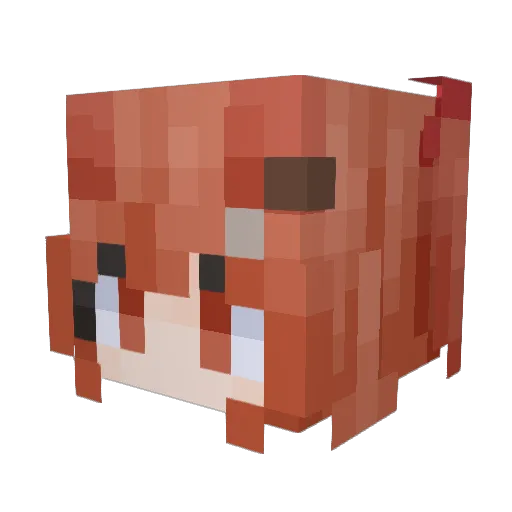 Adrifox Minecraft avatar head, 3D render