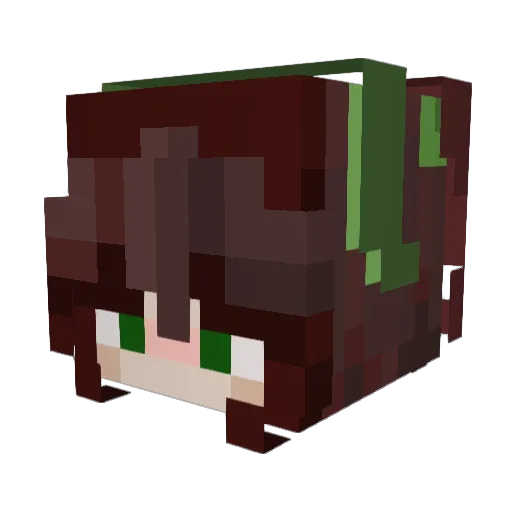 Adriniqko Minecraft avatar head, 3D render