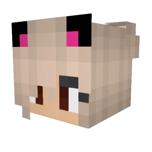 Adrirvb Minecraft avatar head, 3D render