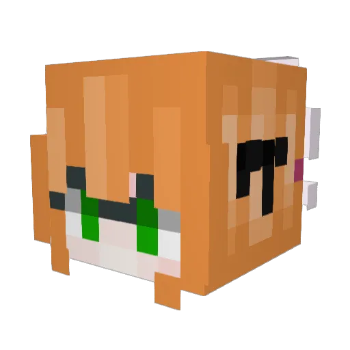 Adry07 Minecraft avatar head, 3D render