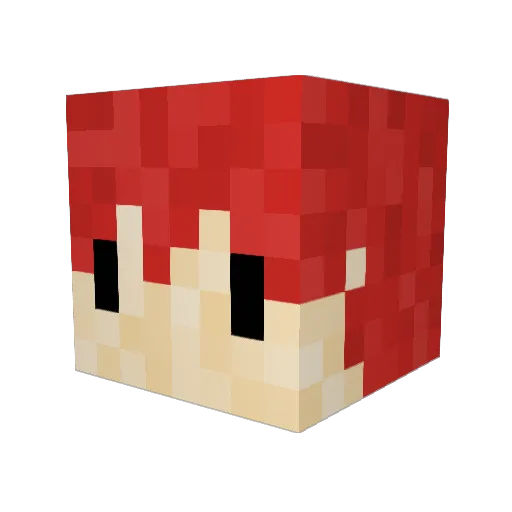 Adsewse2015 Minecraft avatar head, 3D render