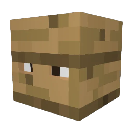 Adten Minecraft avatar head, 3D render