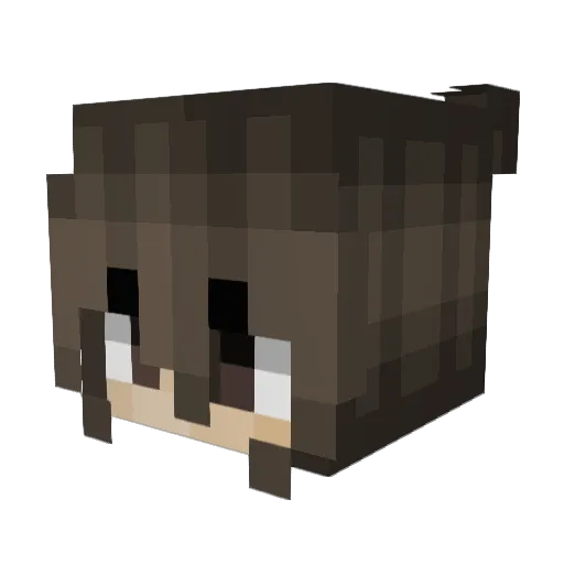 Aduckei Minecraft avatar head, 3D render