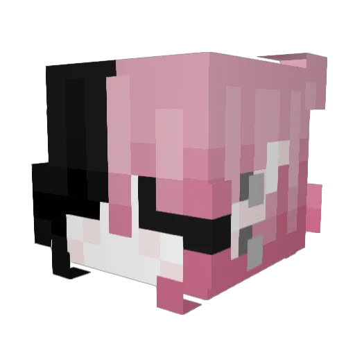 Adulkqa Minecraft avatar head, 3D render
