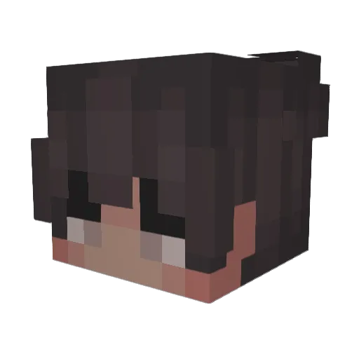 Adumb13 Minecraft avatar head, 3D render