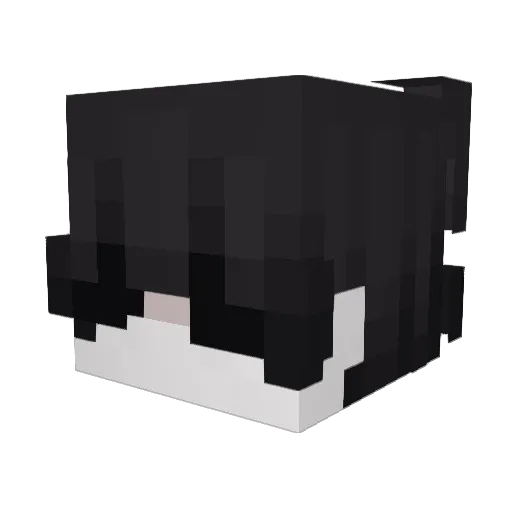 Adun_Yalee Minecraft avatar head, 3D render