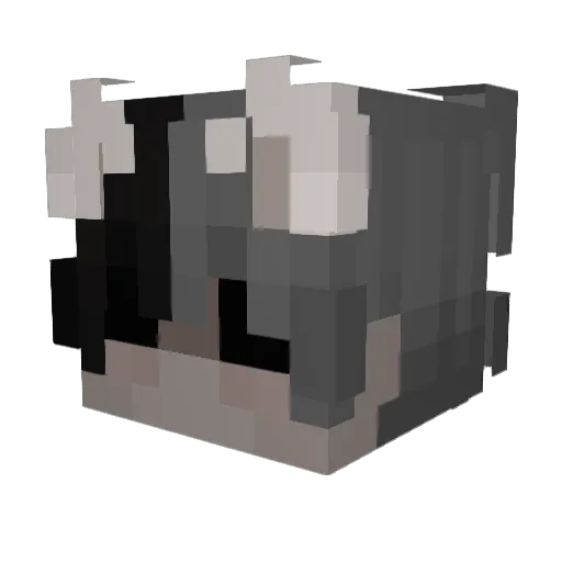 Advain Minecraft avatar head, 3D render