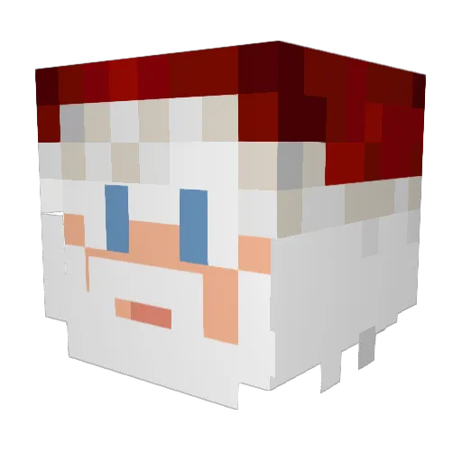 AdvaitOMG Minecraft avatar head, 3D render