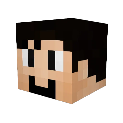 Advaith_bruh Minecraft avatar head, 3D render
