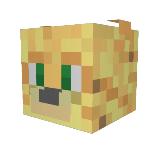 Adventure_Ocel0t Minecraft avatar head, 3D render